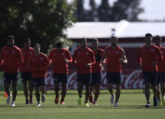 plantel-vd-2019
