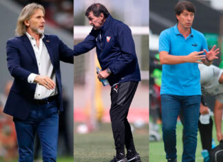 independiente-busca-dt
