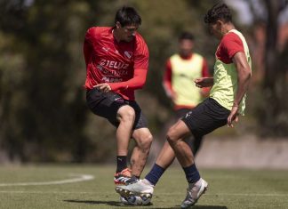 lomonaco-dominico-independiente