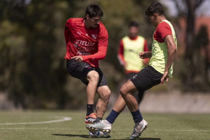 lomonaco-dominico-independiente