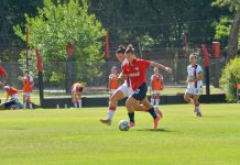 Diablas vs Newells