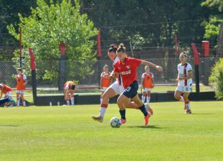 Diablas vs Newells