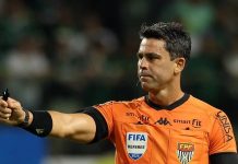 flavio-rodrigues-de-souza