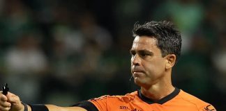 flavio-rodrigues-de-souza