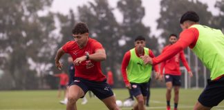 maestro-puch-practica-independiente
