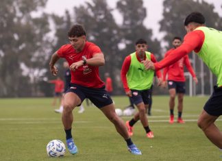 maestro-puch-practica-independiente