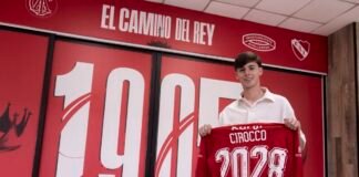 santino-cirocco-contrato